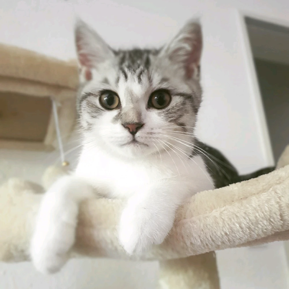 Bild hochgeladen von Mathew