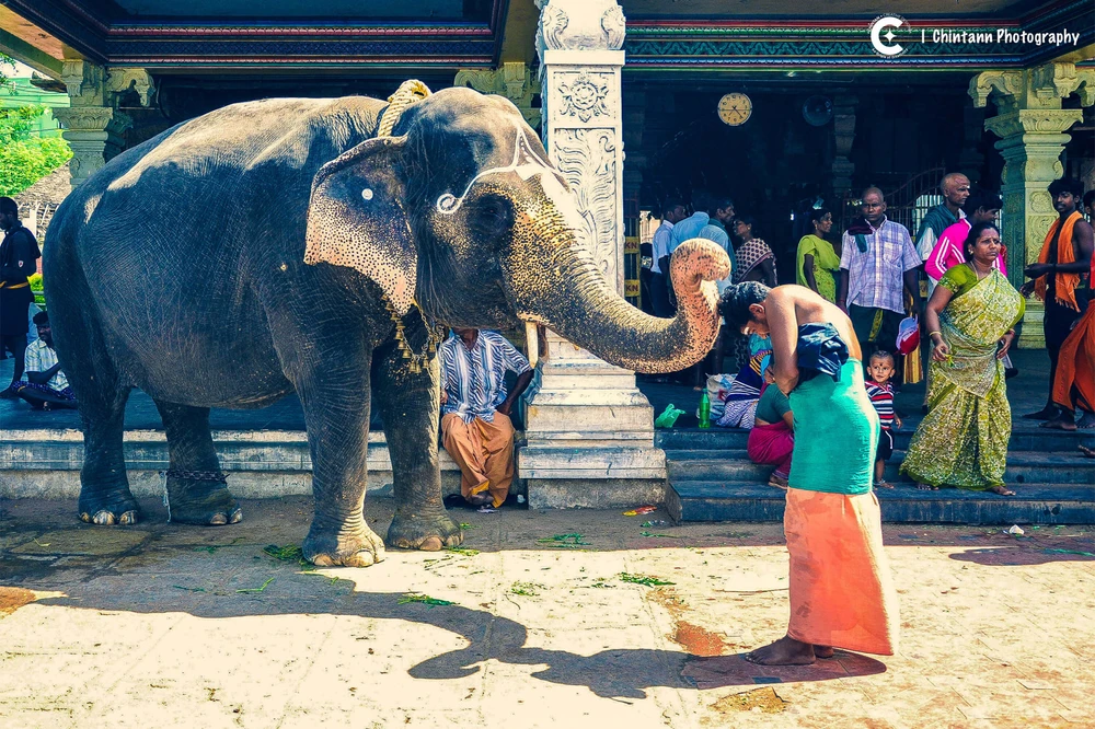 Chintan द्वारा अपलोड की गई तस्वीर