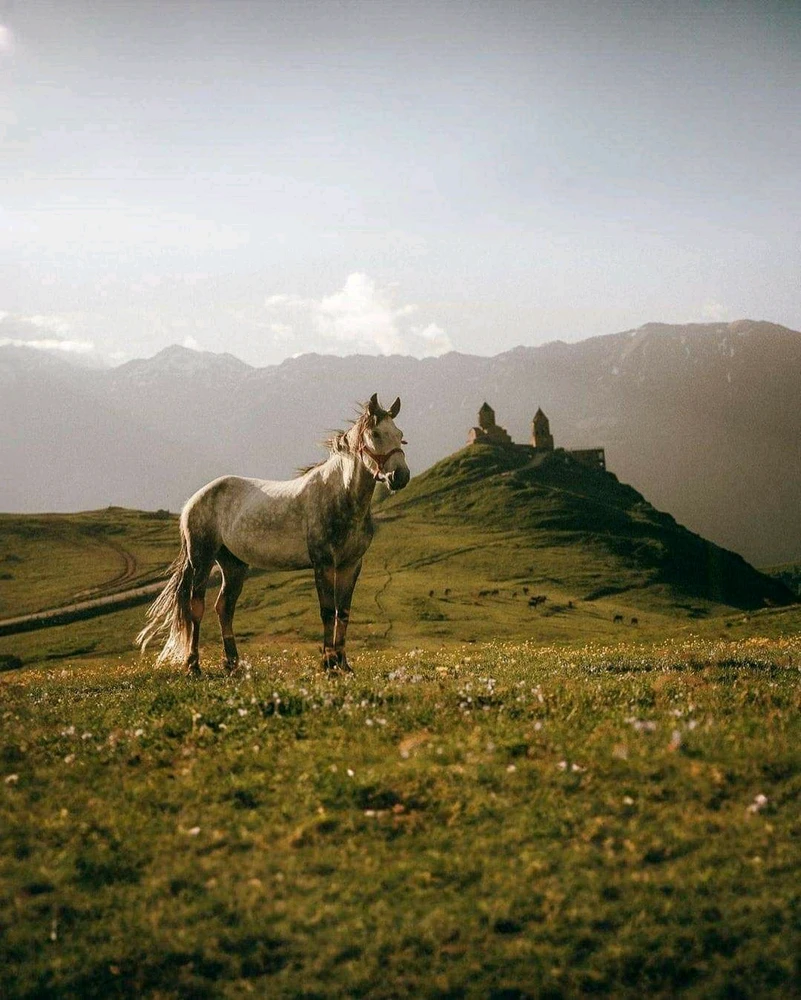 Image uploaded by Irakli