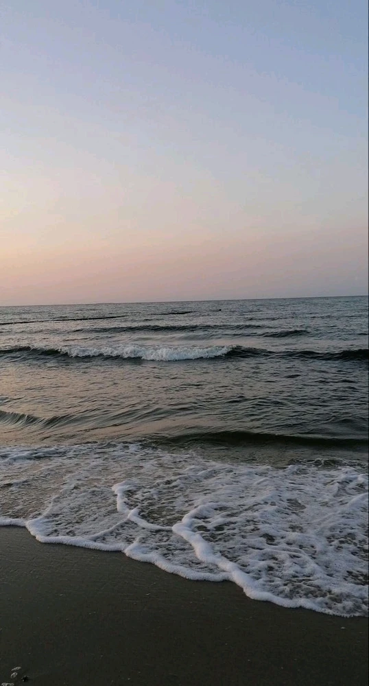 Candy님이 올린 사진