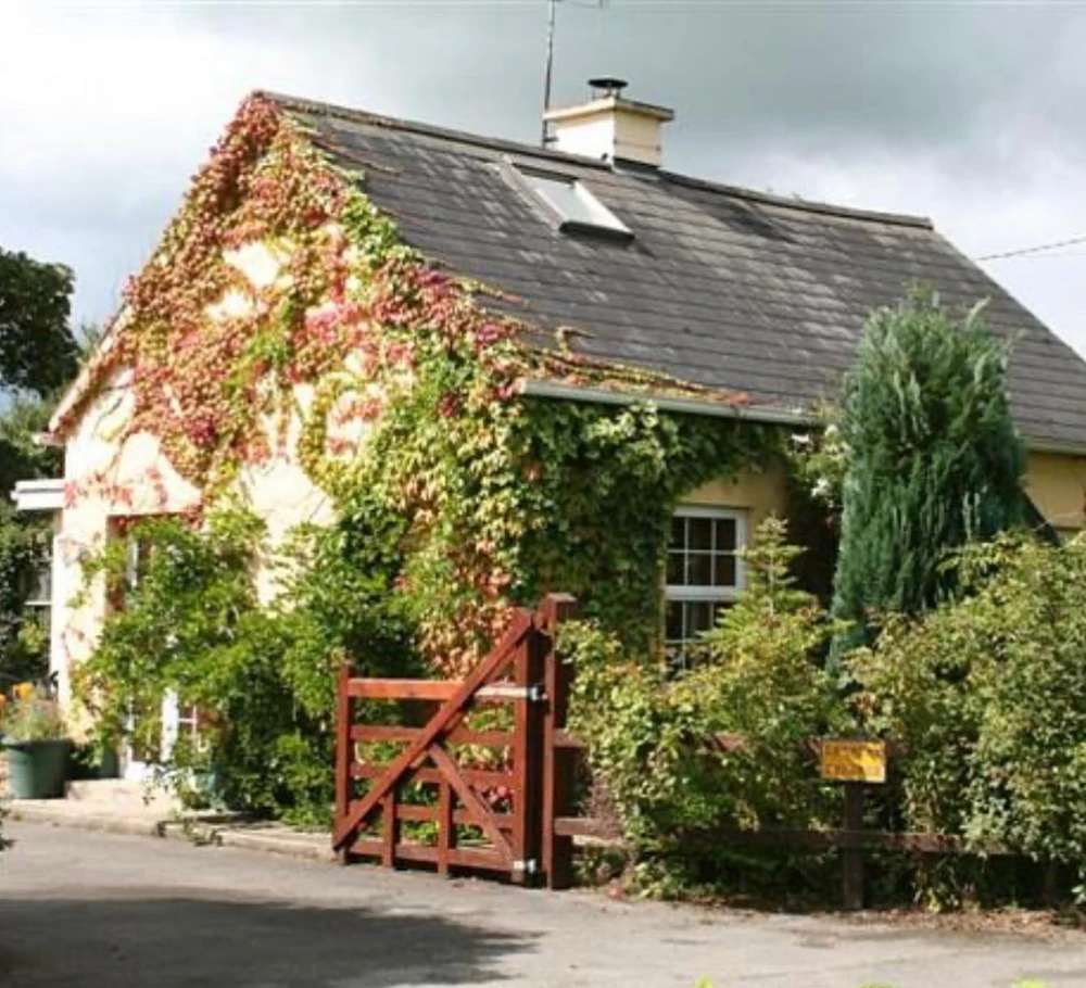 Image uploaded by Brittney