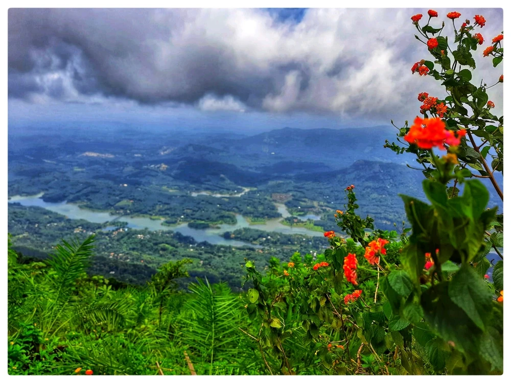 Manu m അപ്‌ലോഡ് ചെയ്ത ചിത്രം