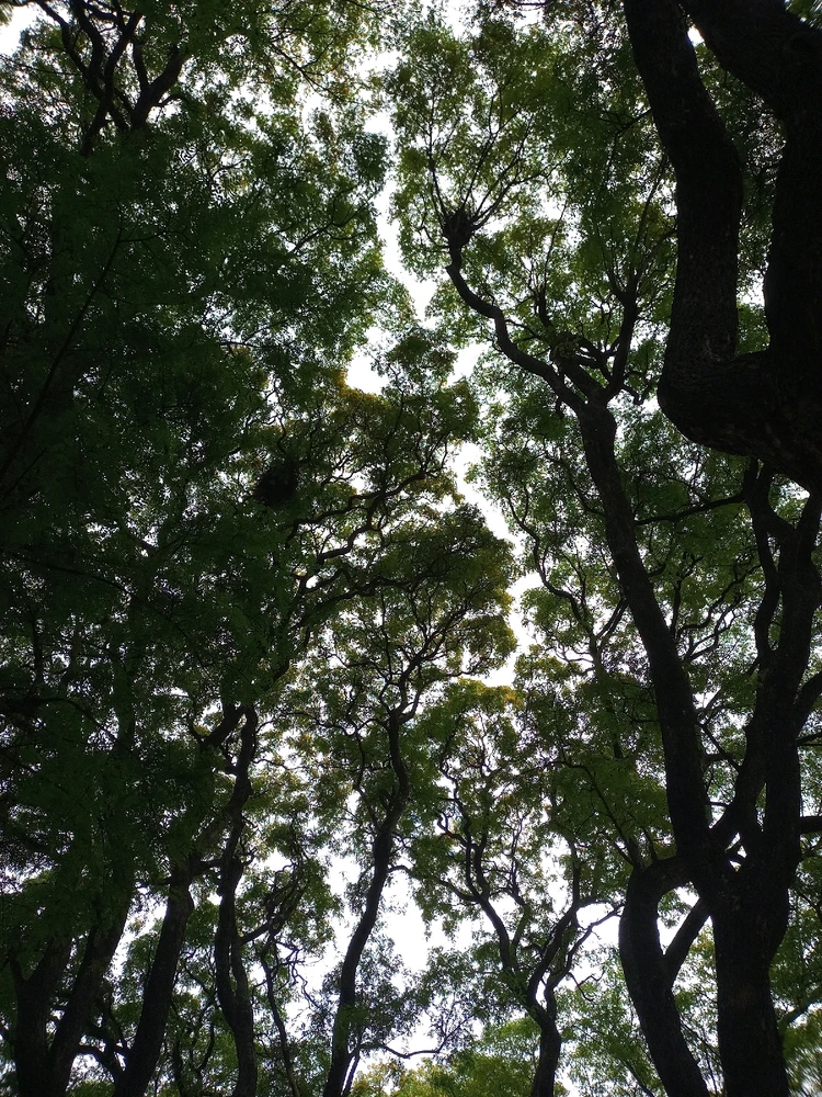 Imagen subida por Sam