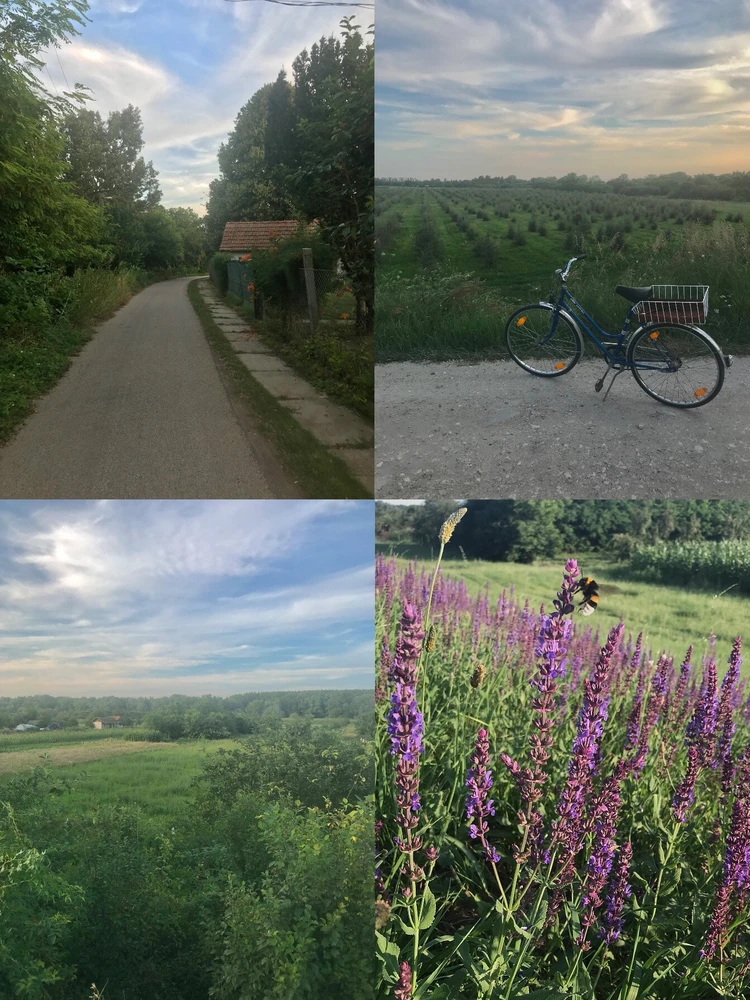 Image uploaded by Zsuzsi