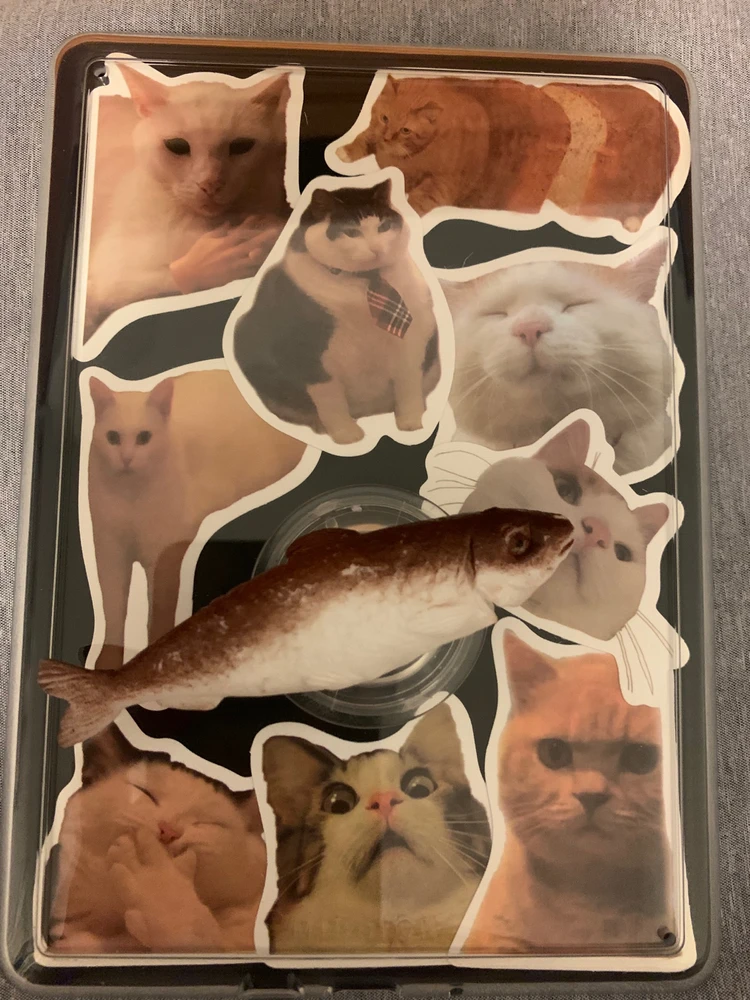 Image uploaded by Van