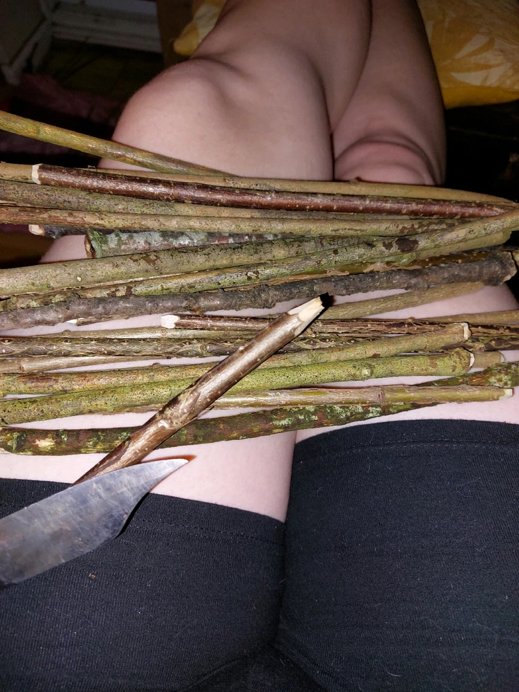 Image uploaded by Dee