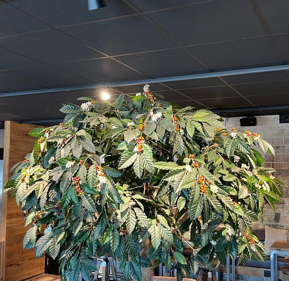 Image uploaded by Robin