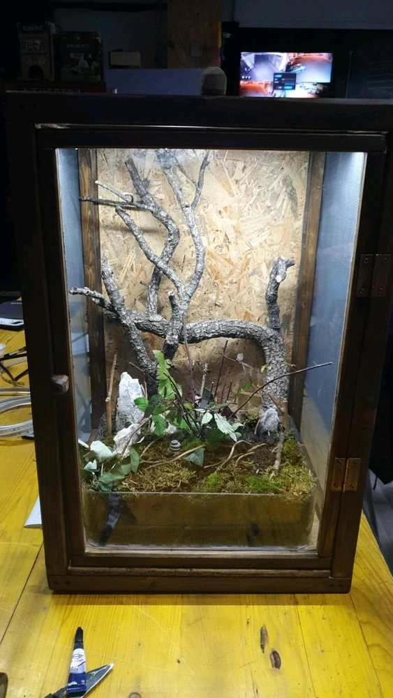 Immagine caricata da SirDream00