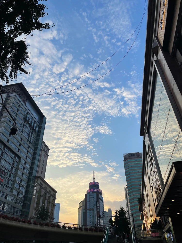 Image uploaded by Irene