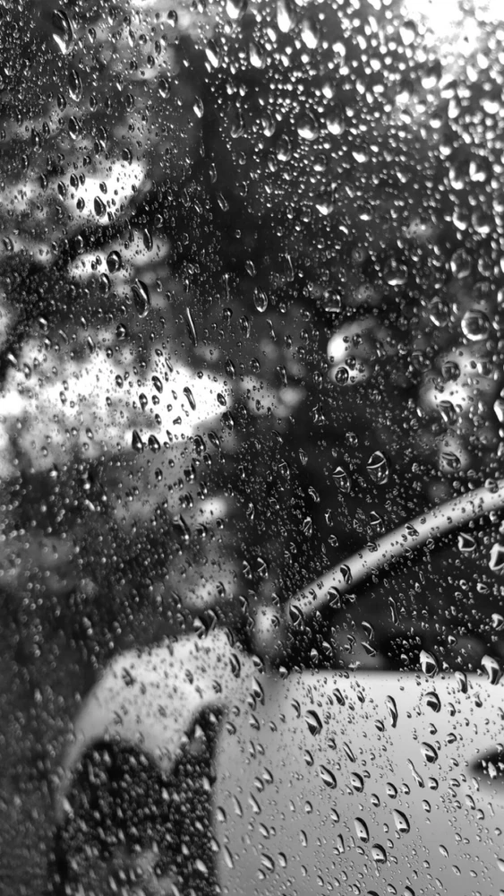 Imagine încărcată de .