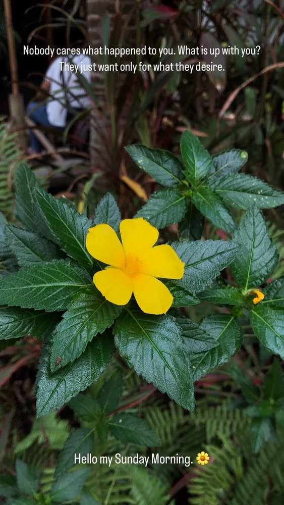 Image uploaded by SP