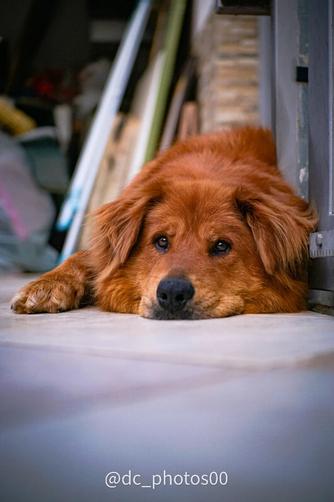 Immagine caricata da Davide