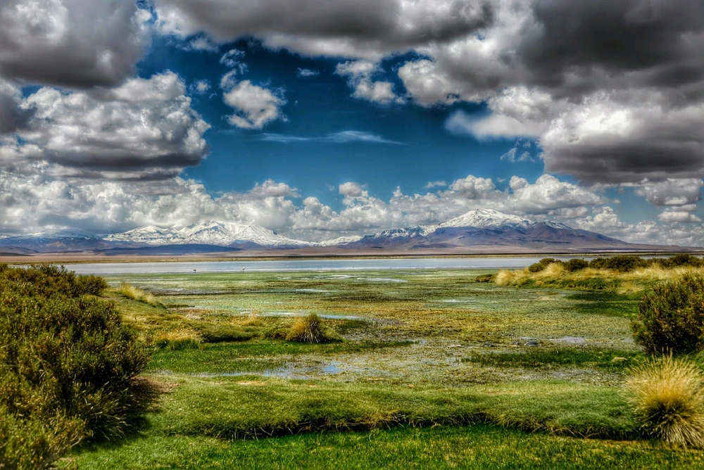 Image uploaded by Andreia