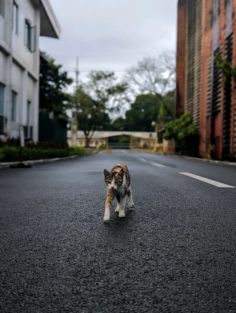 Gambar diunggah dening RM