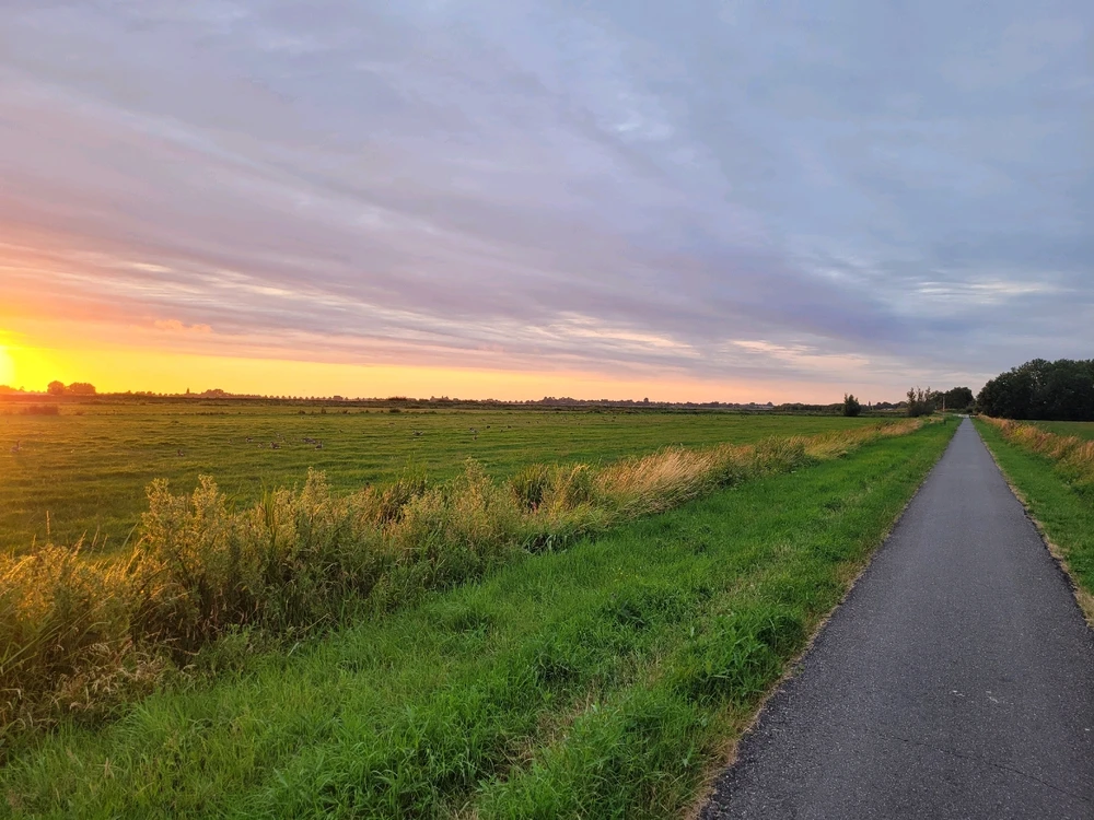 Image uploaded by Kevin