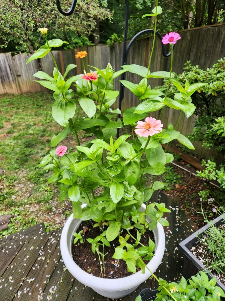 Image uploaded by Nick