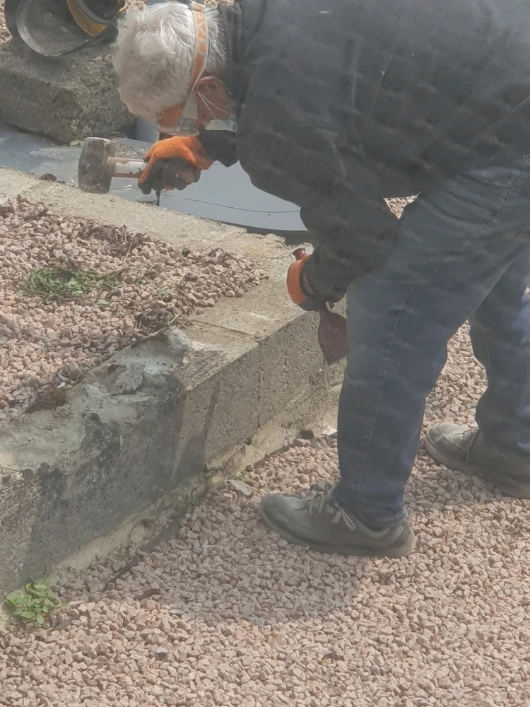 Image uploaded by Troy Holford