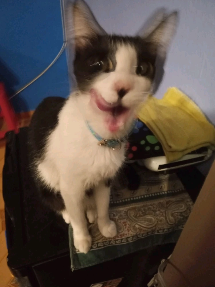 Imagen subida por Alex