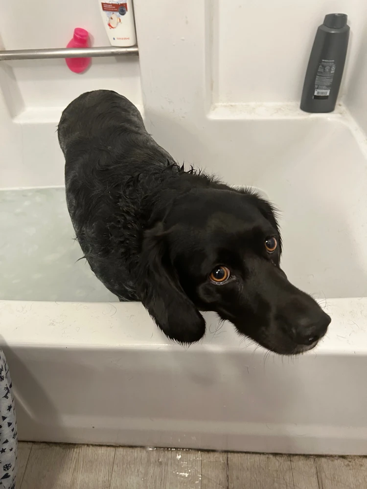 Image uploaded by Elliott