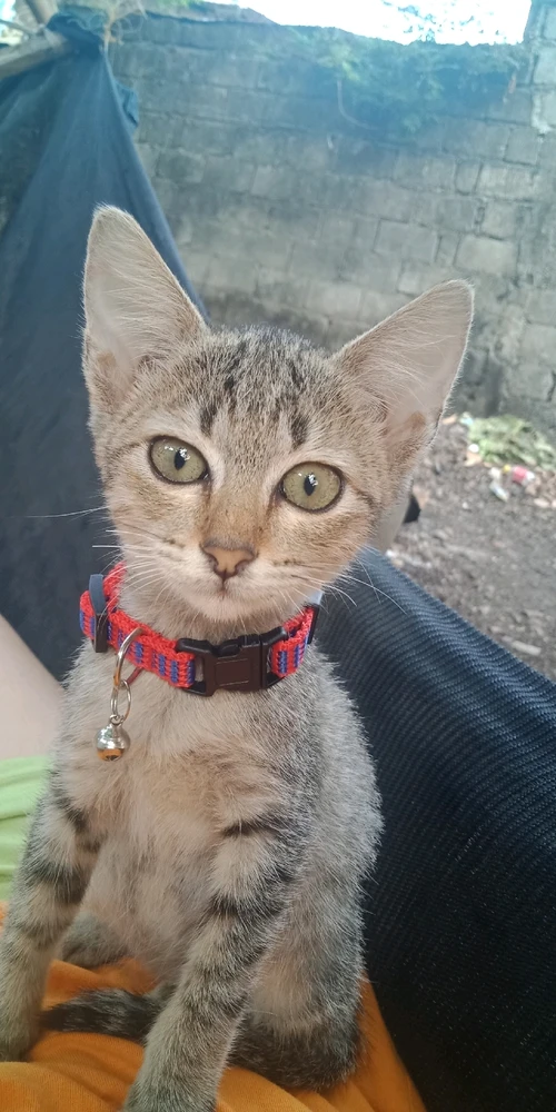 Gi-upload ni Roxy ang hulagway