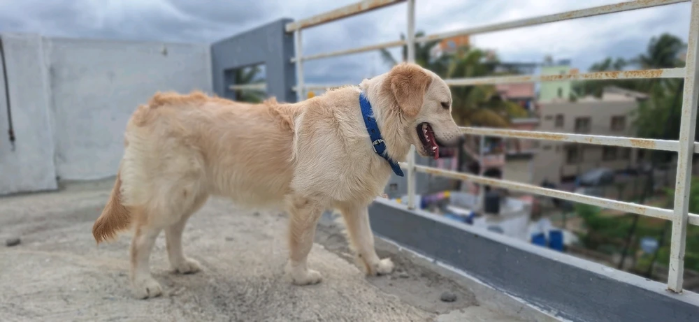 Image uploaded by Melwin