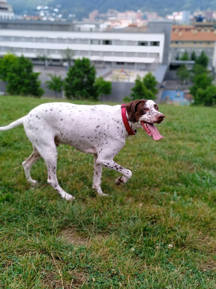 Imagen subida por Gerard