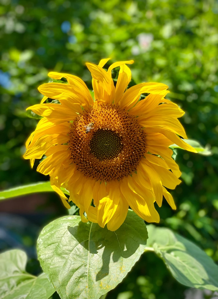 Image uploaded by Vlada