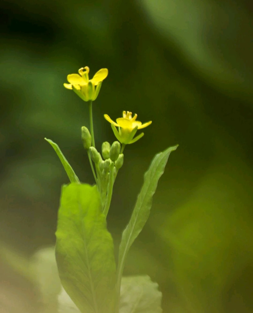 Gambar diunggah oleh Reza