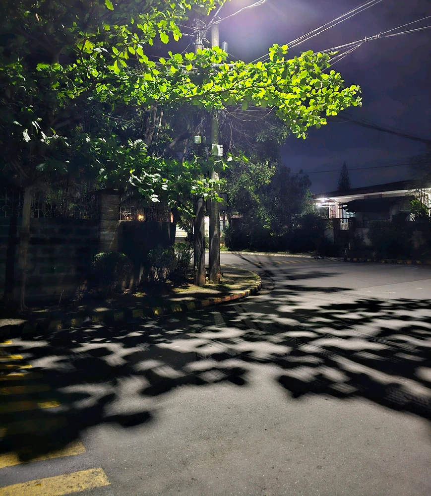 Diffraction Phenomenon on a tree. Shadows of the leaves look pixelated like in an 8bit retro inspired game.