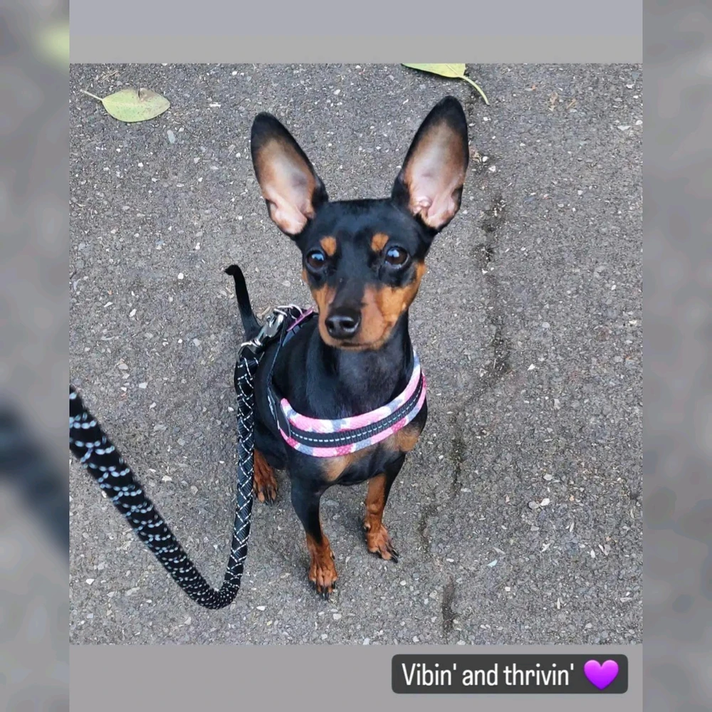 Immagine caricata da Martina