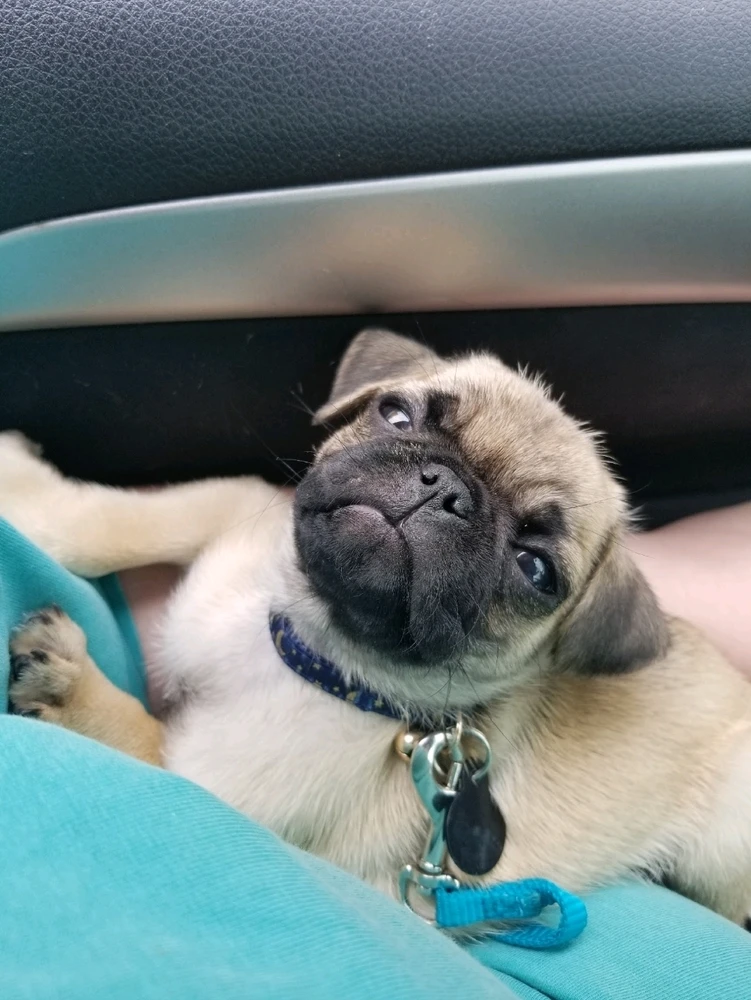 Image uploaded by Cass