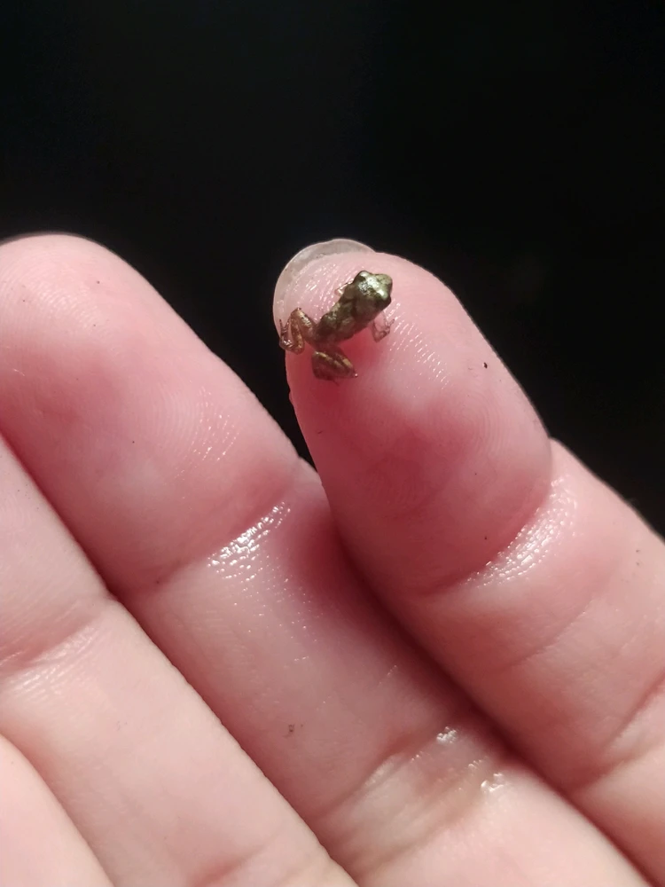 Image uploaded by Vanessa