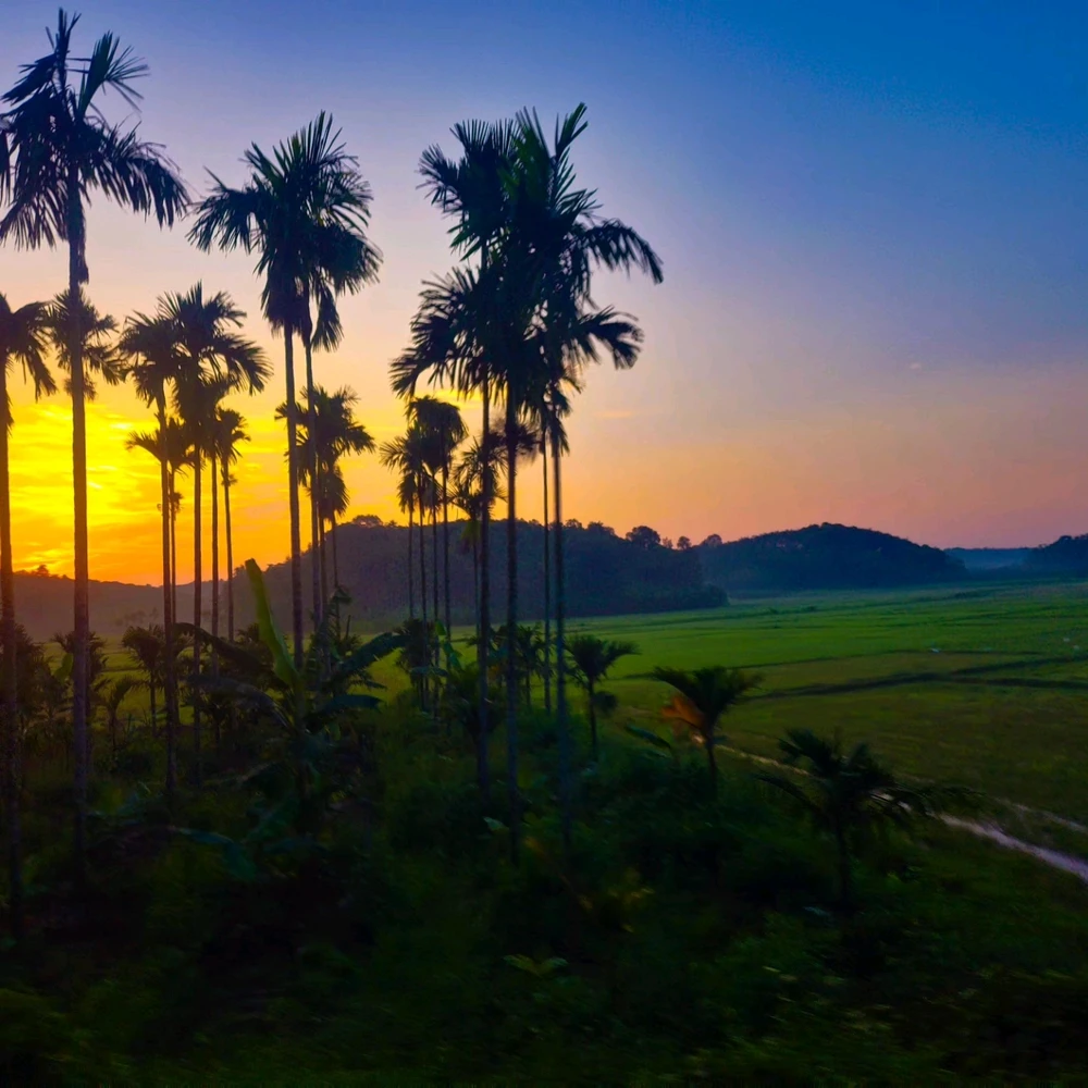 រូបភាពបង្ហោះដោយ Suduli Kumar Balabantaray