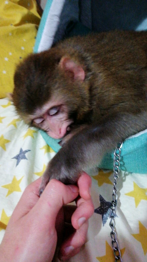 Emre tarafından yüklenen görsel