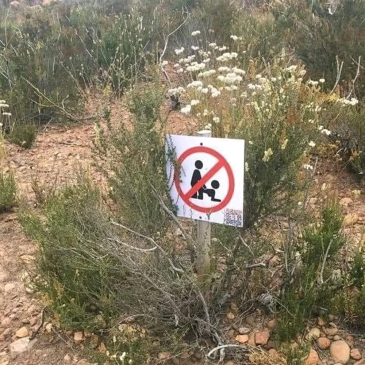 Image uploaded by Anne