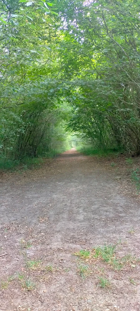 Image ajoutée par Nicolas