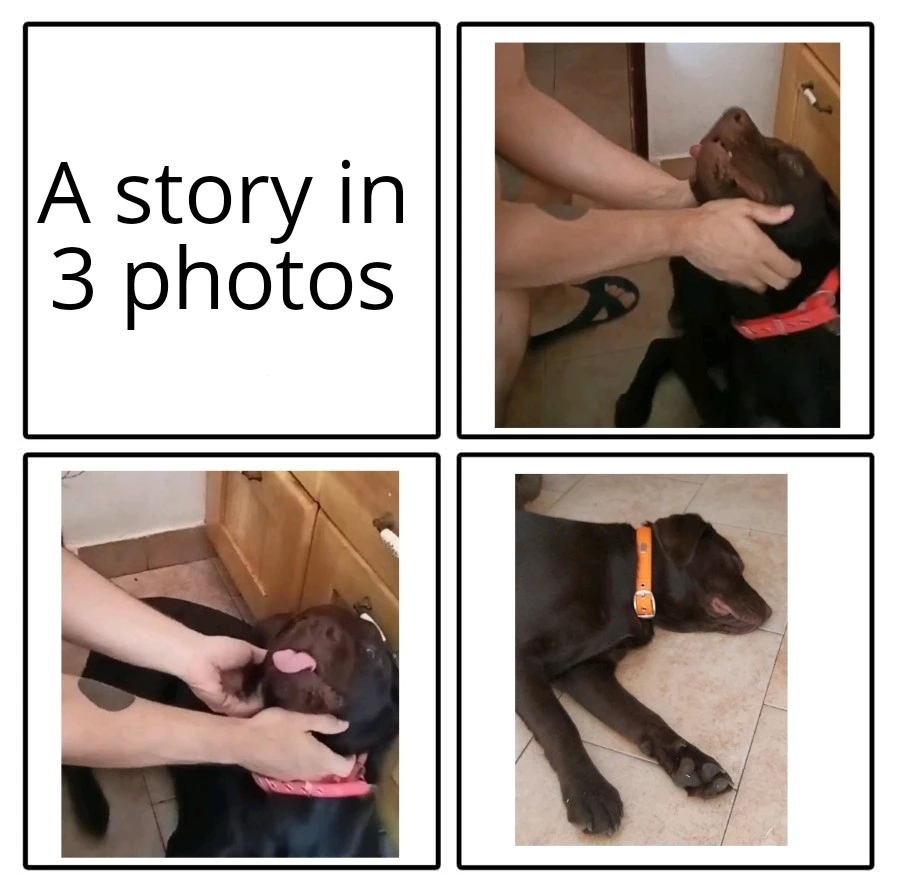 Immagine caricata da Elia