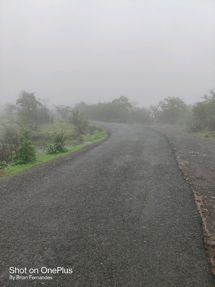 Image uploaded by Brian Fernandes