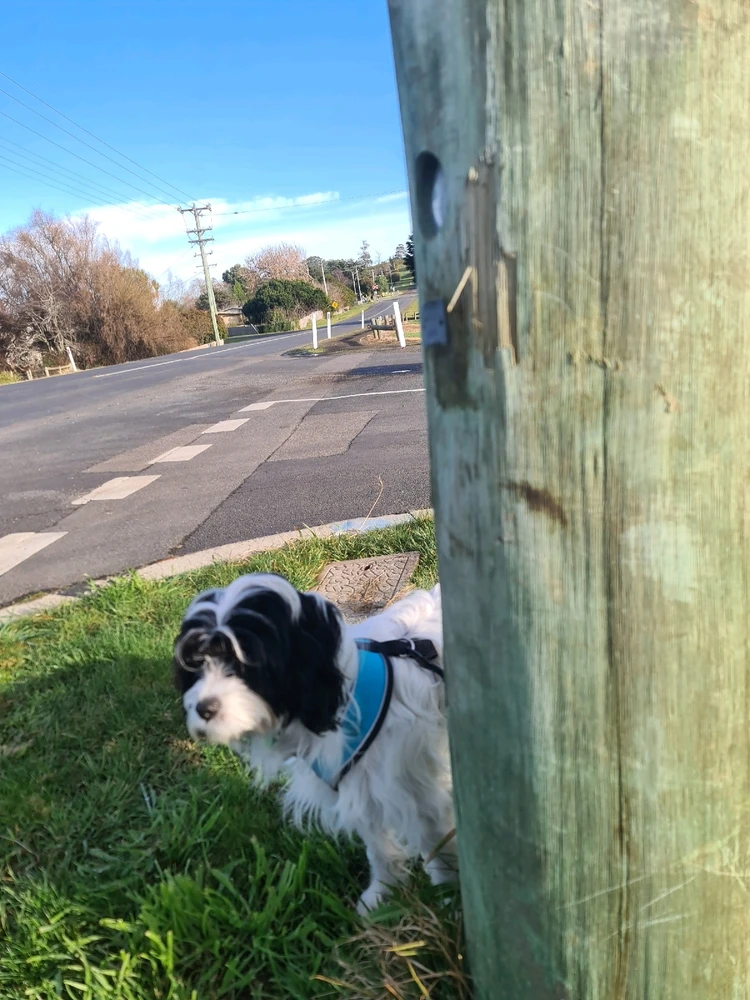 Image uploaded by Alex