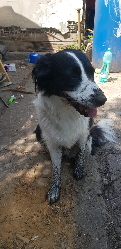 Obrázek nahrál Bára