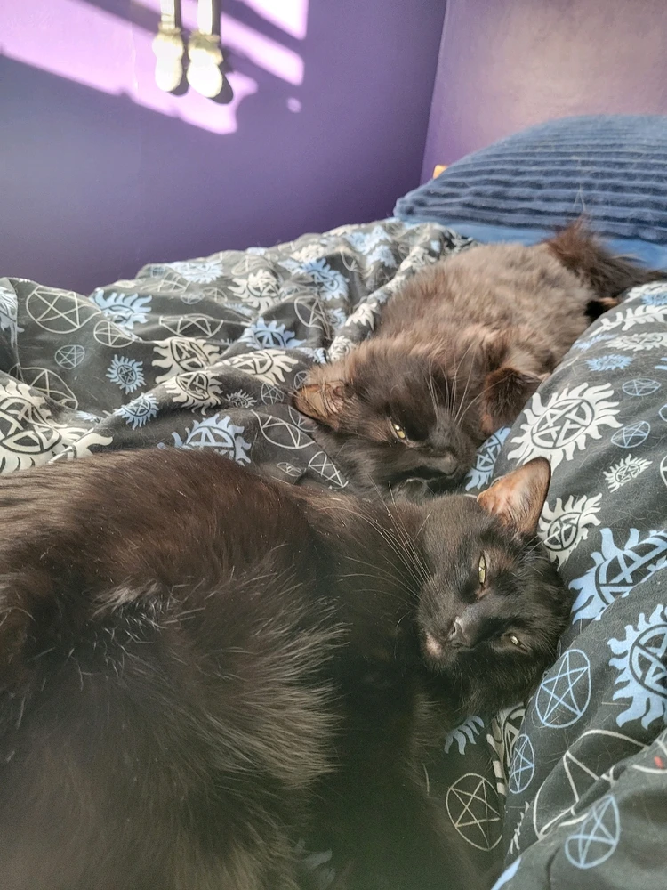 Image uploaded by Miranda