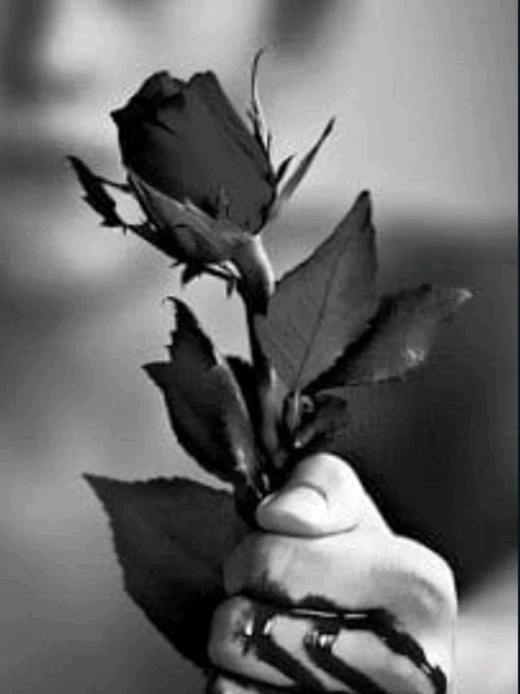 Image uploaded by ππ π£ππͺπππ©΅