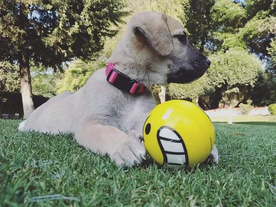 Imagen subida por Karla