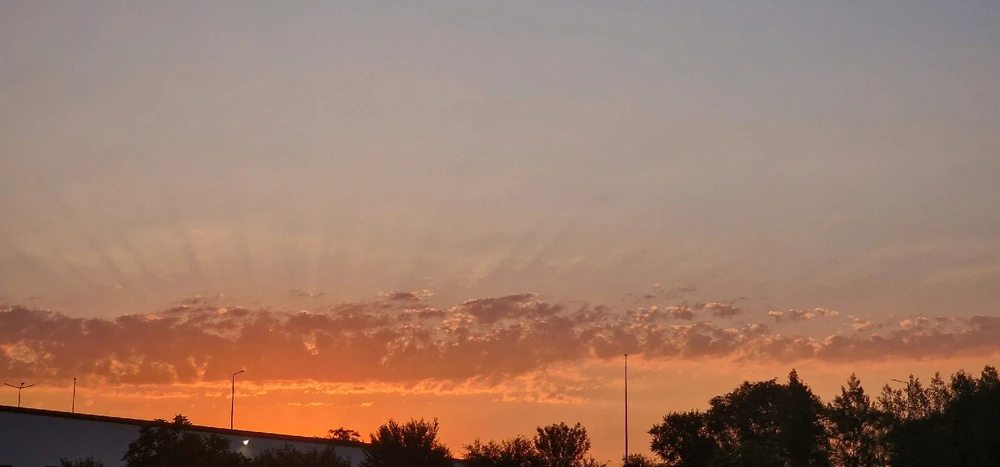 Imagine încărcată de Gabi M.