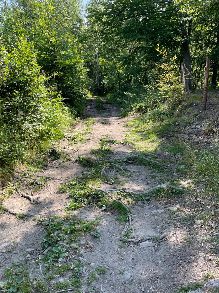 Obrázek nahrál Vladimír