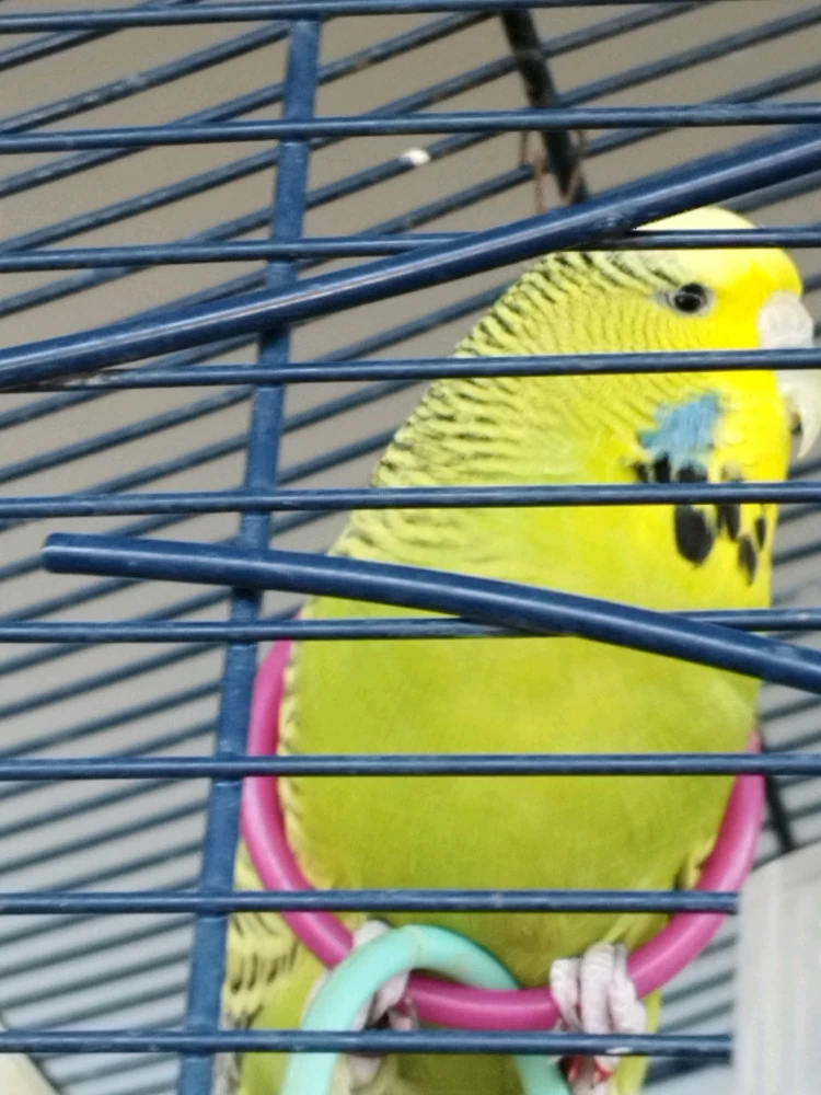 Bild hochgeladen von Lee