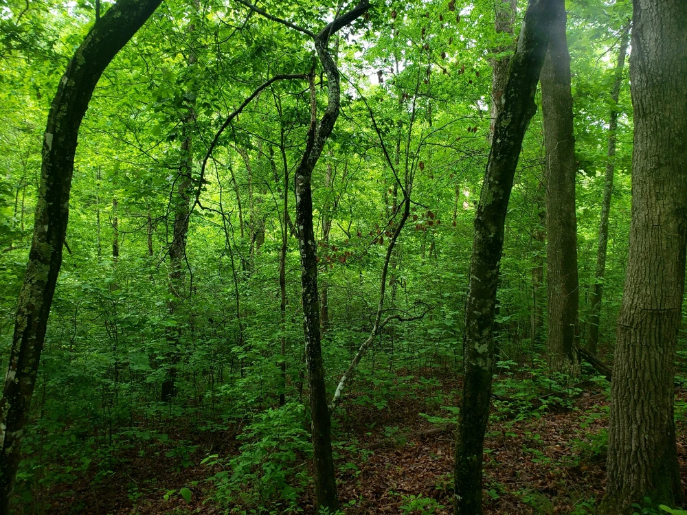 Image uploaded by Tiera