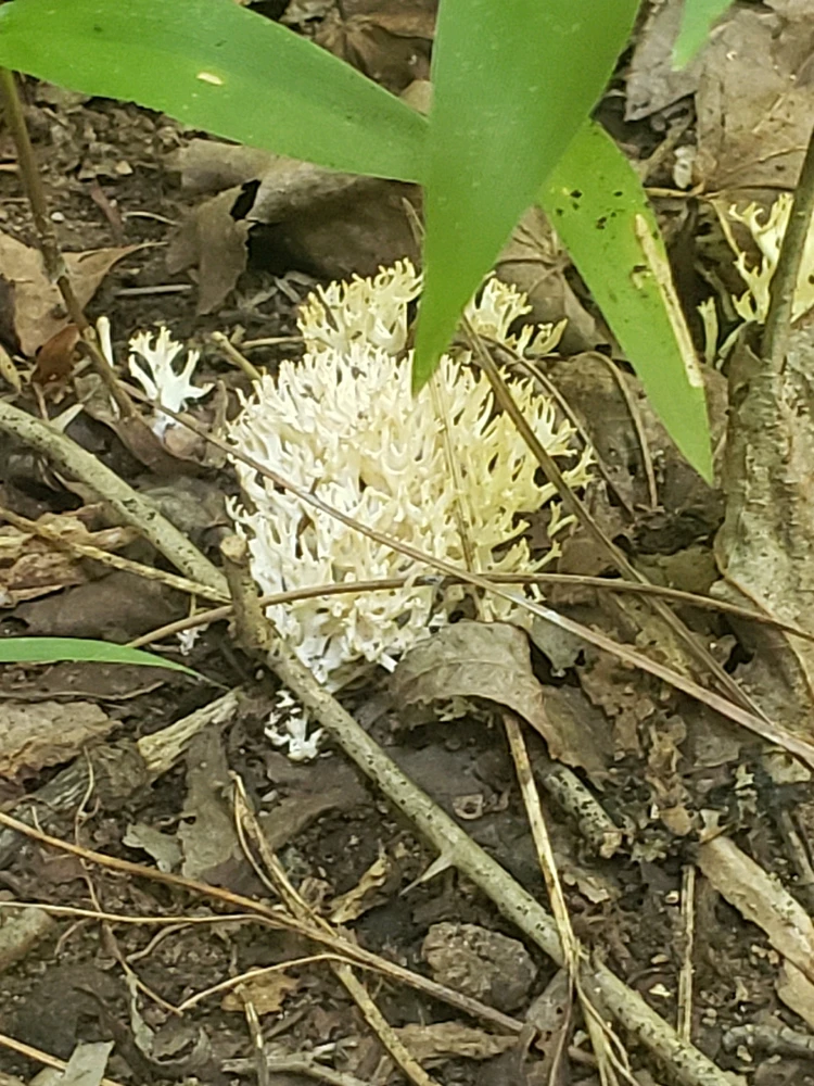 Image uploaded by Tiera