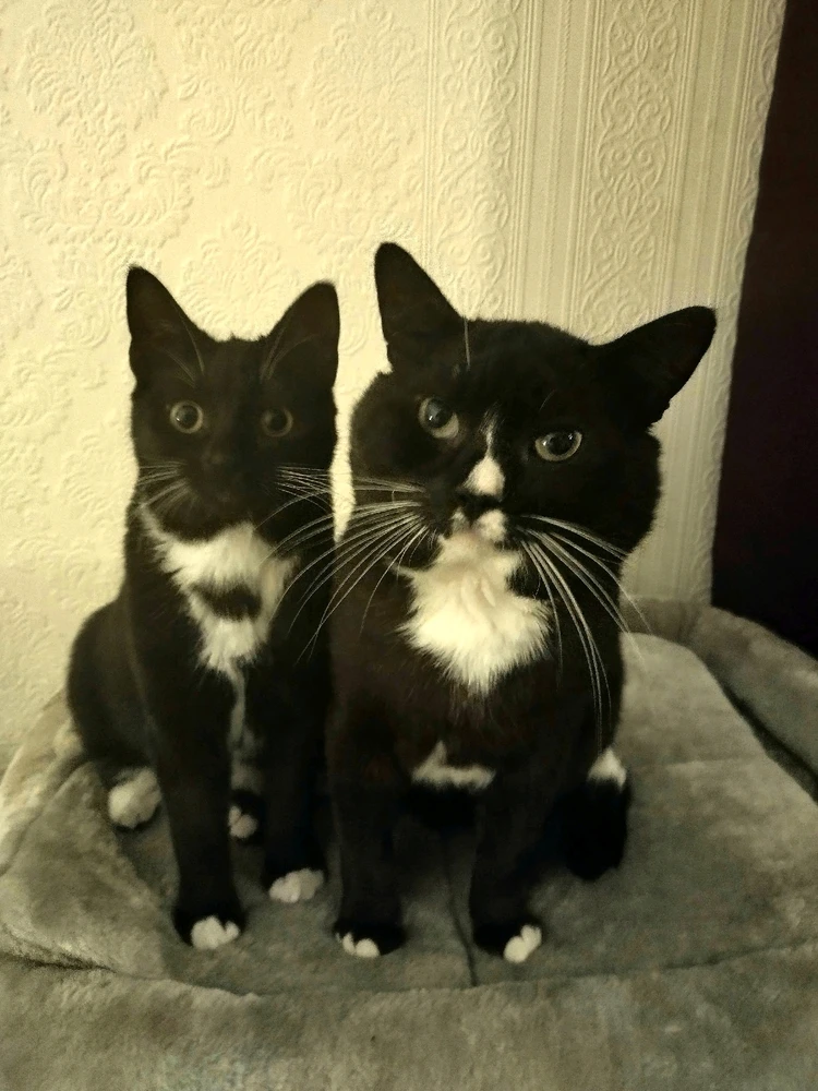Image uploaded by Simon