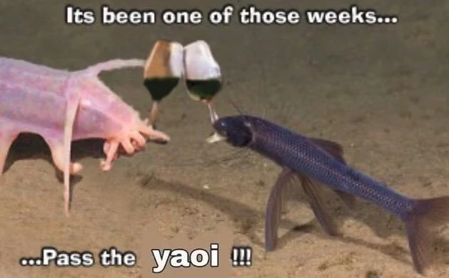 Image uploaded by Matt